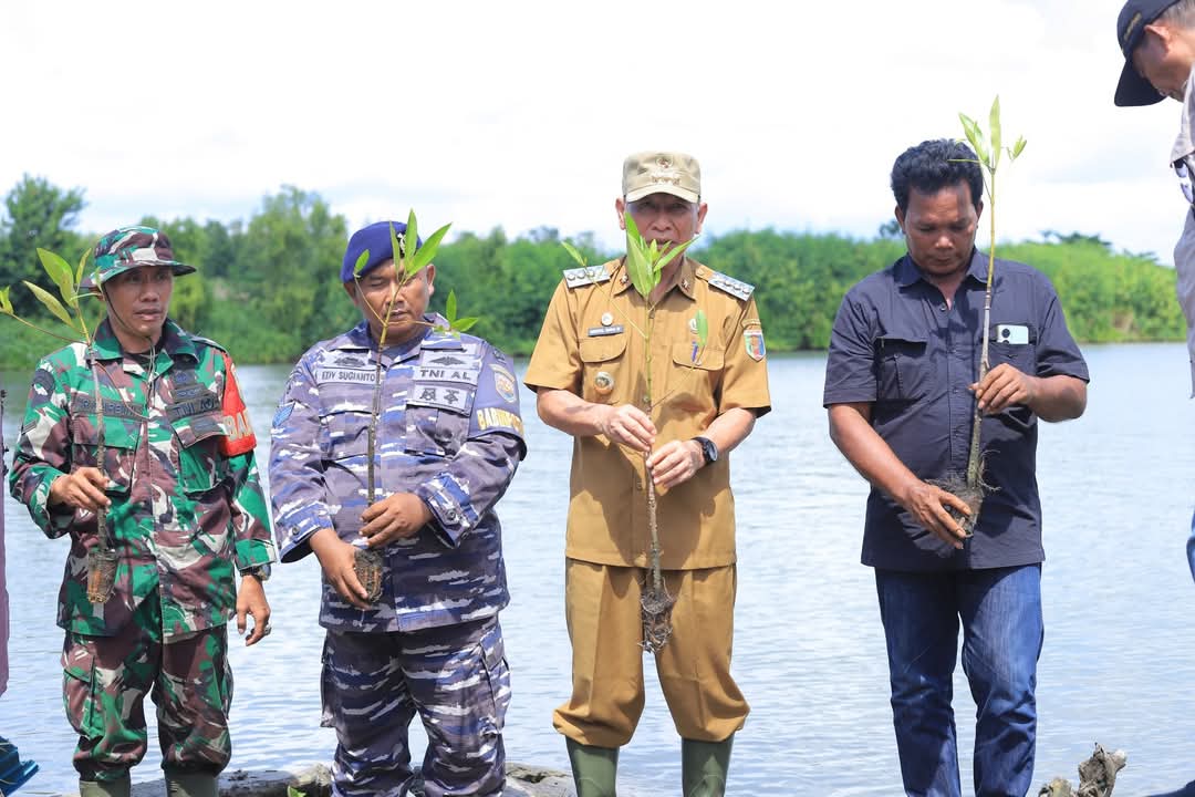 Lestarikan Lingkungan Hidup, Bupati Tulang Bawang Qudrotul Ikhwan Tanam 500 Batang Mangrove
