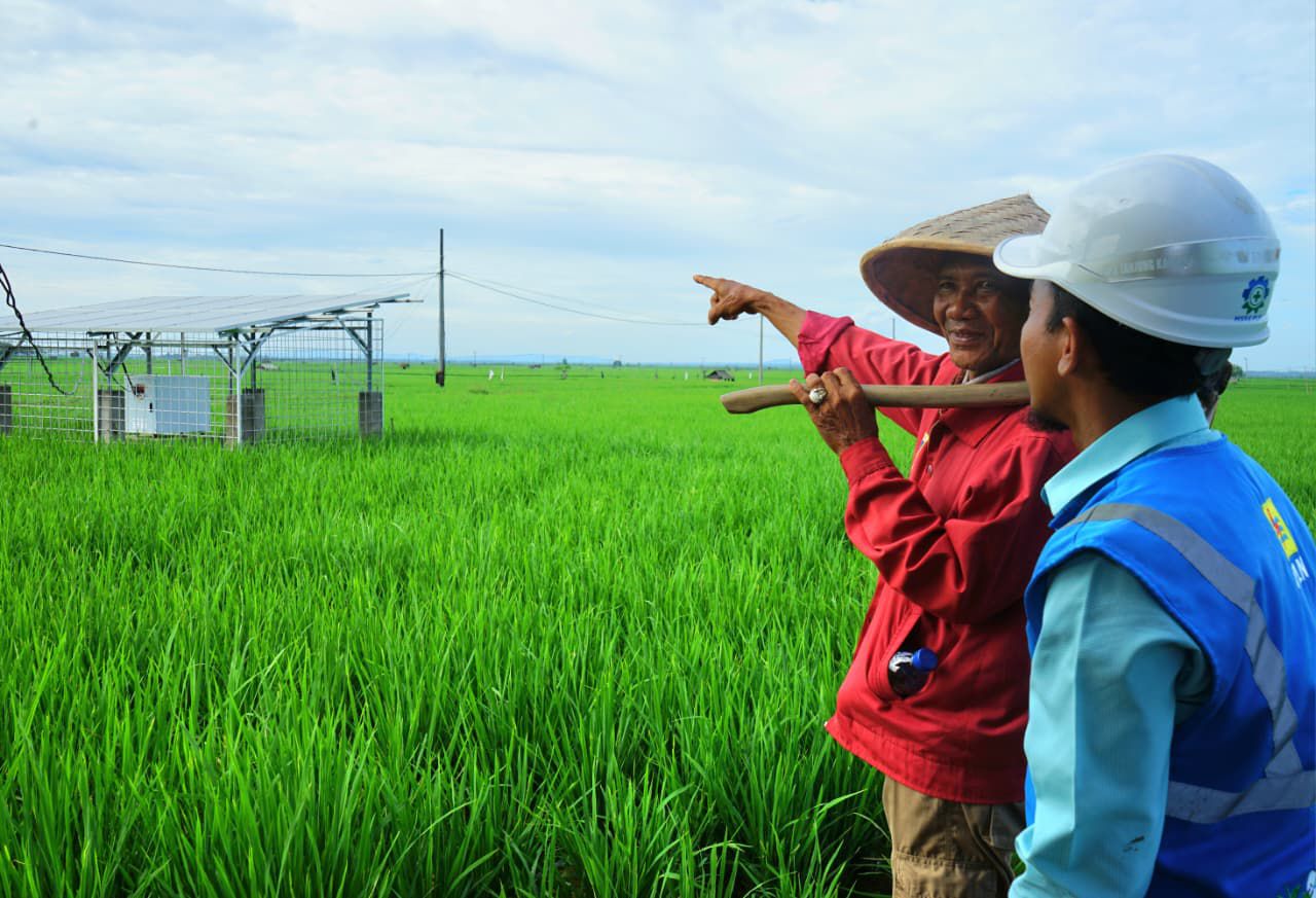 PLN Untuk Rakyat, Ketika Listrik Merubah Cara Petani Trimomukti Panen Harapan