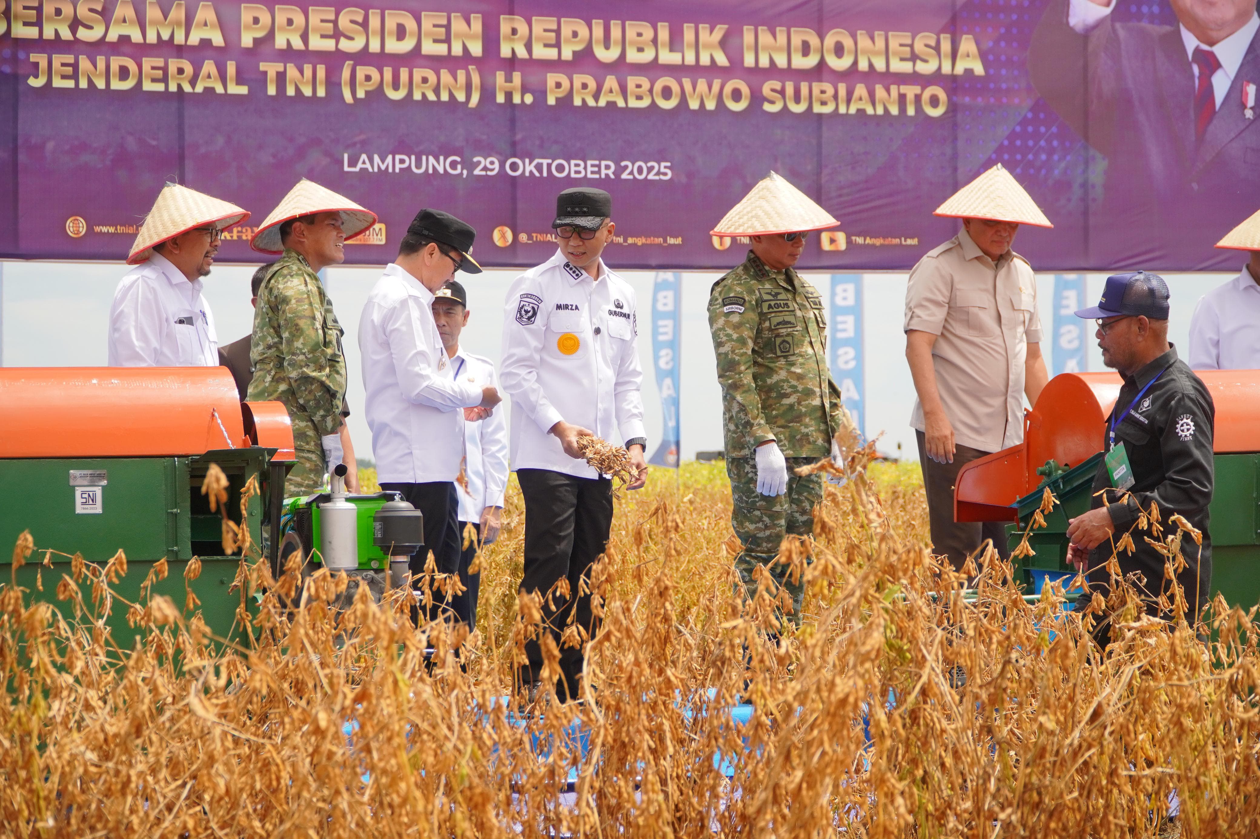 Panen Kedelai Di Lampung Utara, Kolaborasi Pemerintah Dan TNI Wujudkan Kedaulatan Pangan Nasional