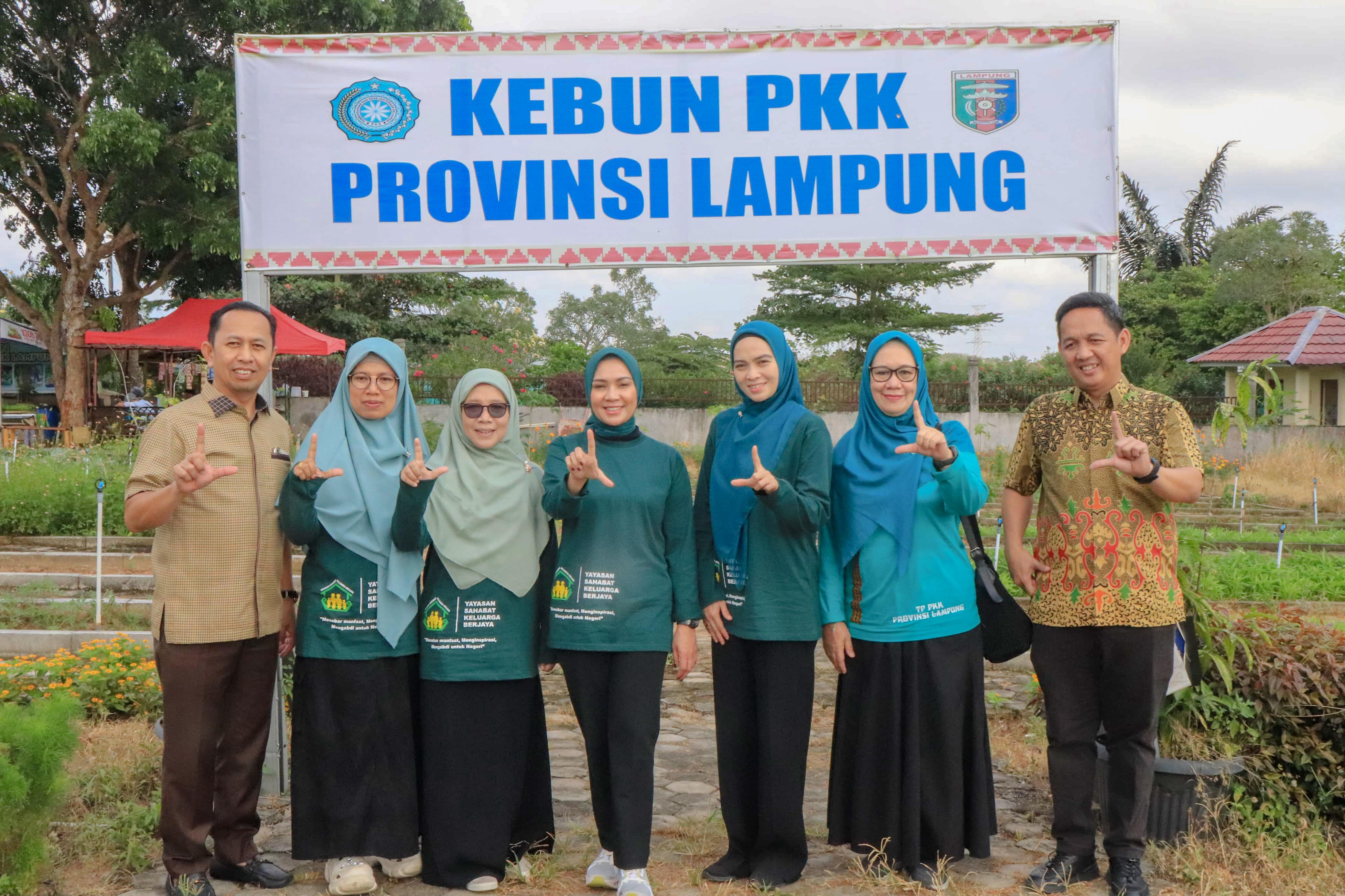 TP. PKK Provinsi Lampung Dorong Pemanfaatan Pekarangan Rumah Untuk Ketahanan Pangan Keluarga