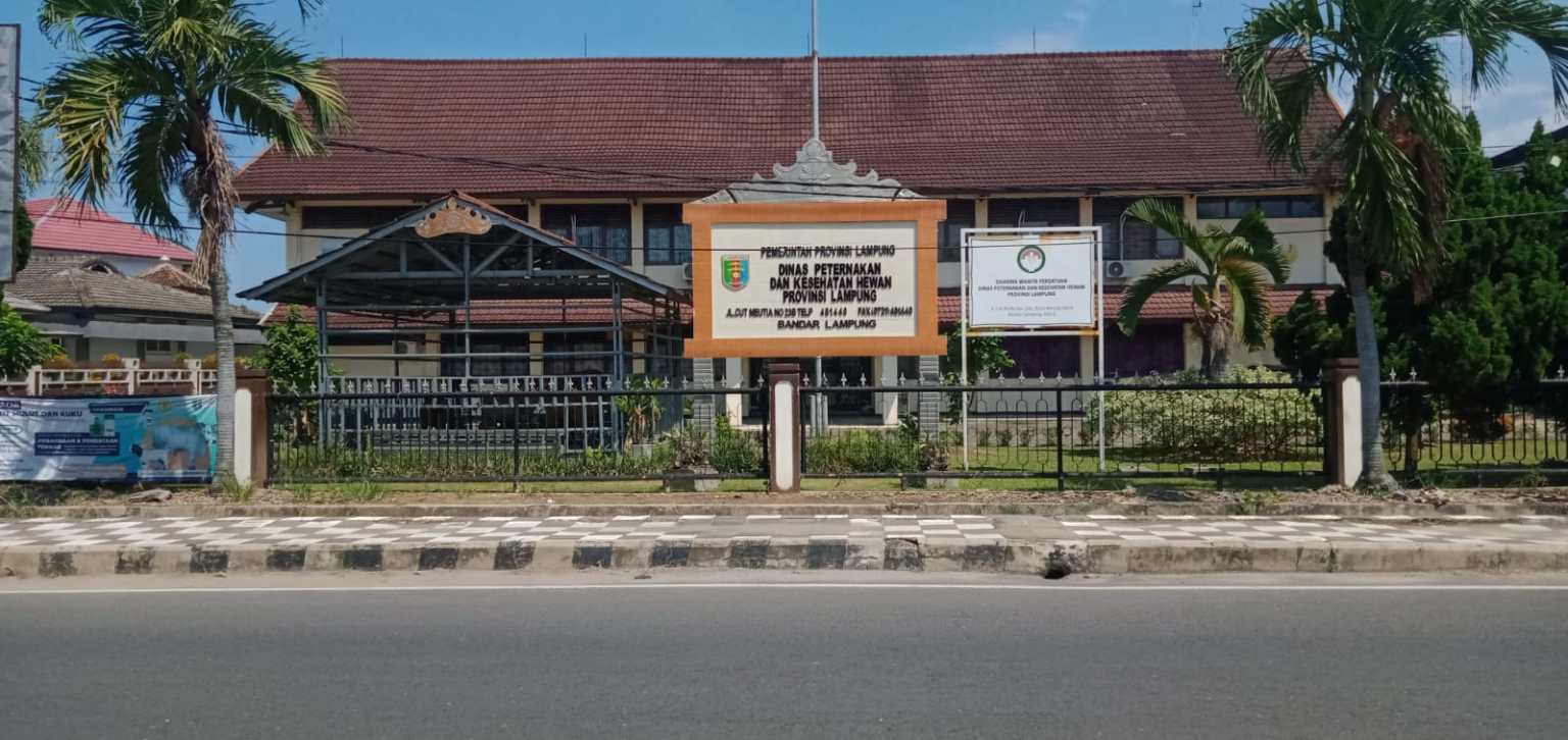 Dugaan Korupsi Di Dinas Peternakan Provinsi Lampung: Oknum Pejabat Diduga Potong Anggaran 20 Persen