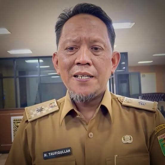 Pemprov Lampung Siap Berkolaborasi Tangani Jembatan Viral Di Pematang Sawa