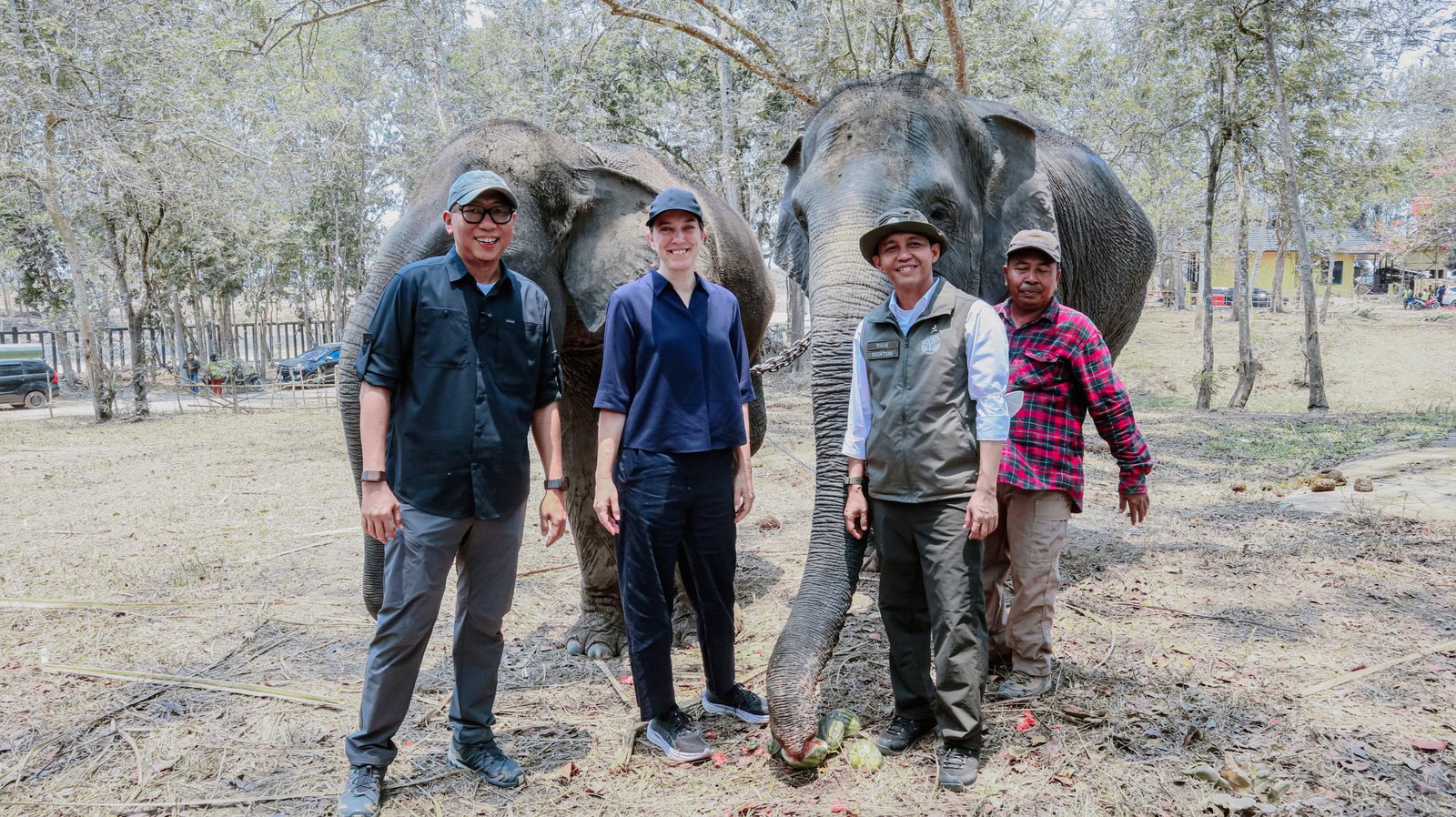 Pemprov Lampung Dorong Keseimbangan Konservasi Gajah Dan Aktivitas Masyarakat