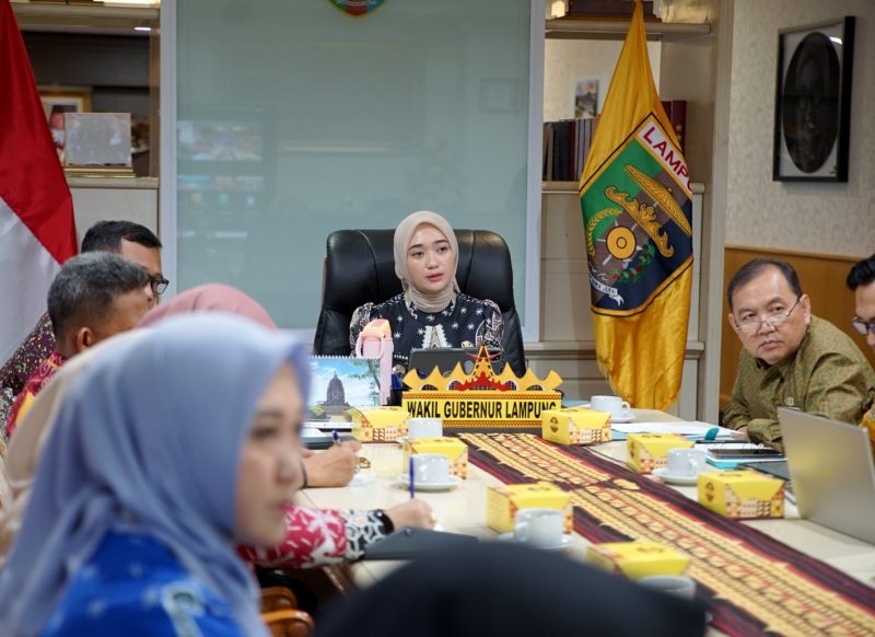 Angka Temuan TBC Di Pesawaran Cuma 14%, Wagub Jihan: Kejar Kuota 10 Ribu Rumah