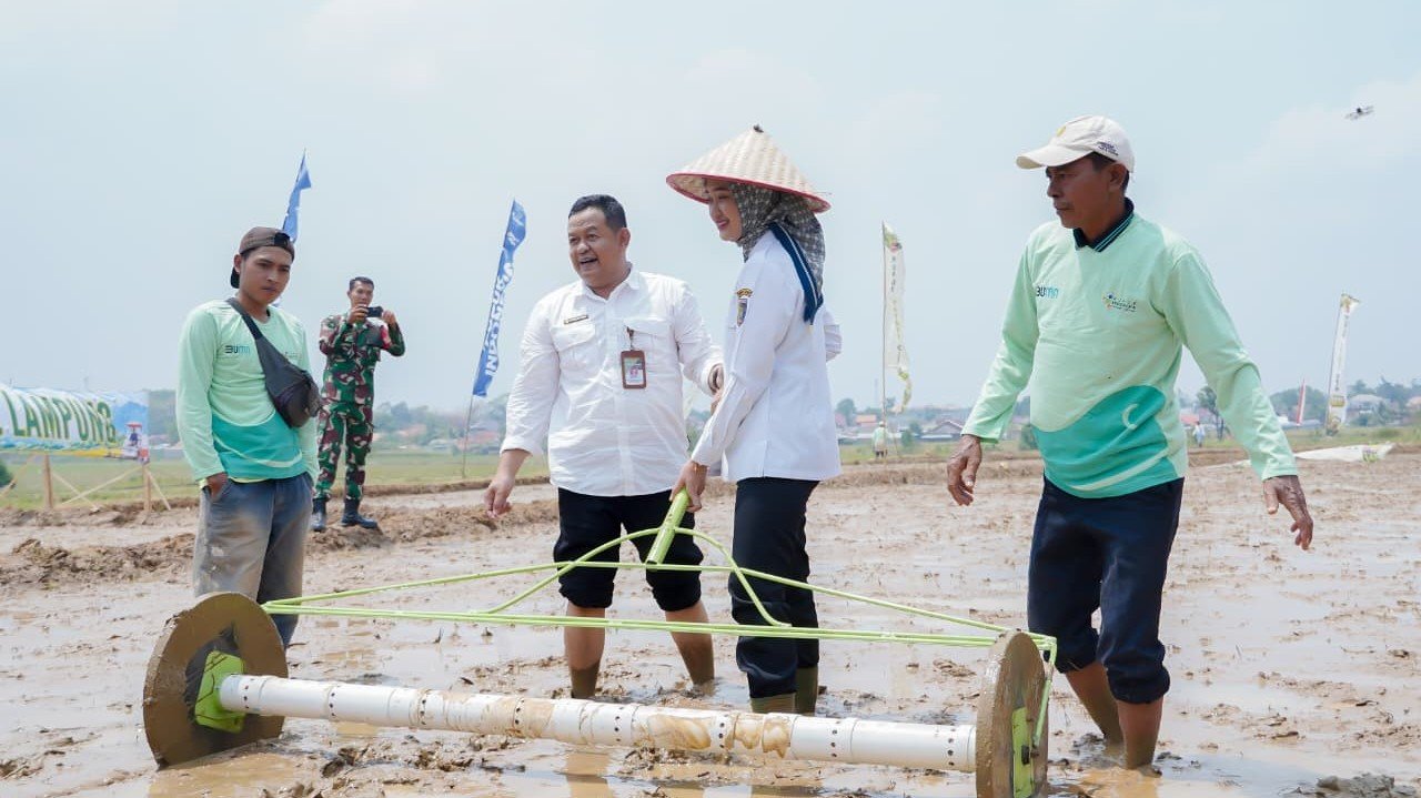 Pemprov Lampung Perkuat Pertanian Modern Untuk Tingkatkan Produktivitas Dan Pendapatan Petani