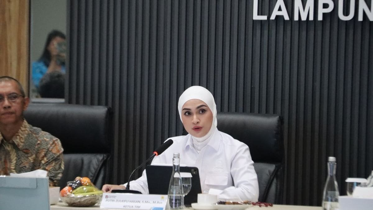 Tinjau Sektor Energi Lampung, Komisi XII DPR RI Apresiasi Keandalan Kelistrikan PLN