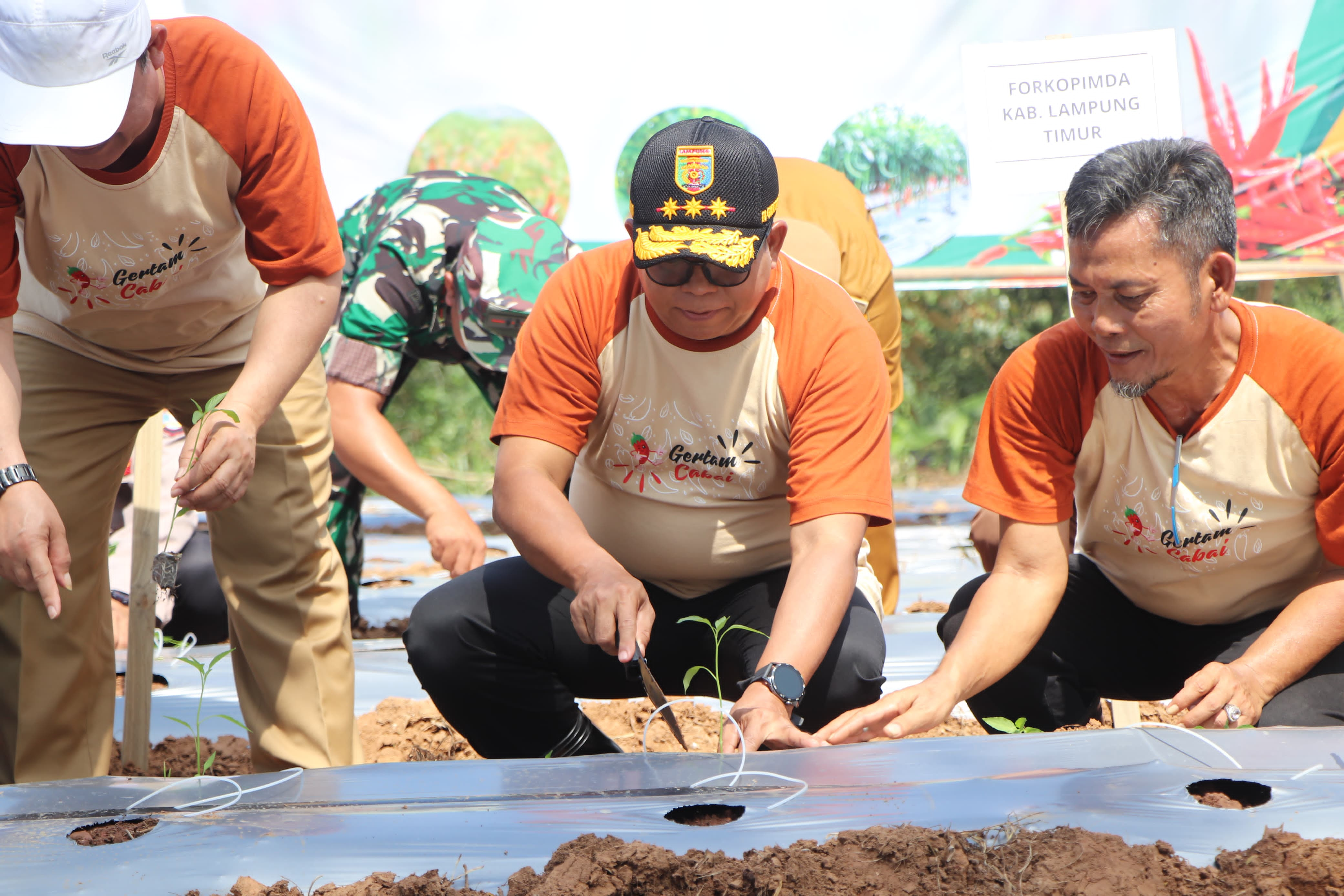 Kendalikan Inflasi Pangan, Pj  Gubernur Luncurkan Gerakan Menanam Cabai