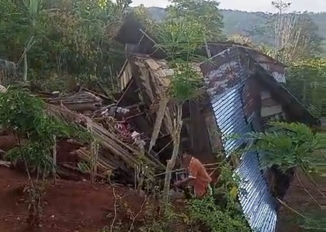 Tim Gabungan Berhasil Giring Kawanan Gajah Kembali Ke Hutan, Belasan Rumah Warga Sempat Dirusak