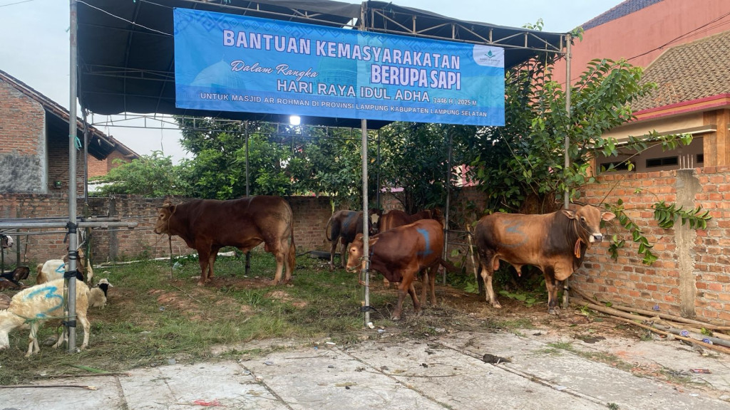 Pemkab Lampung Selatan Terima Bantuan Hewan Kurban Dari Presiden Prabowo