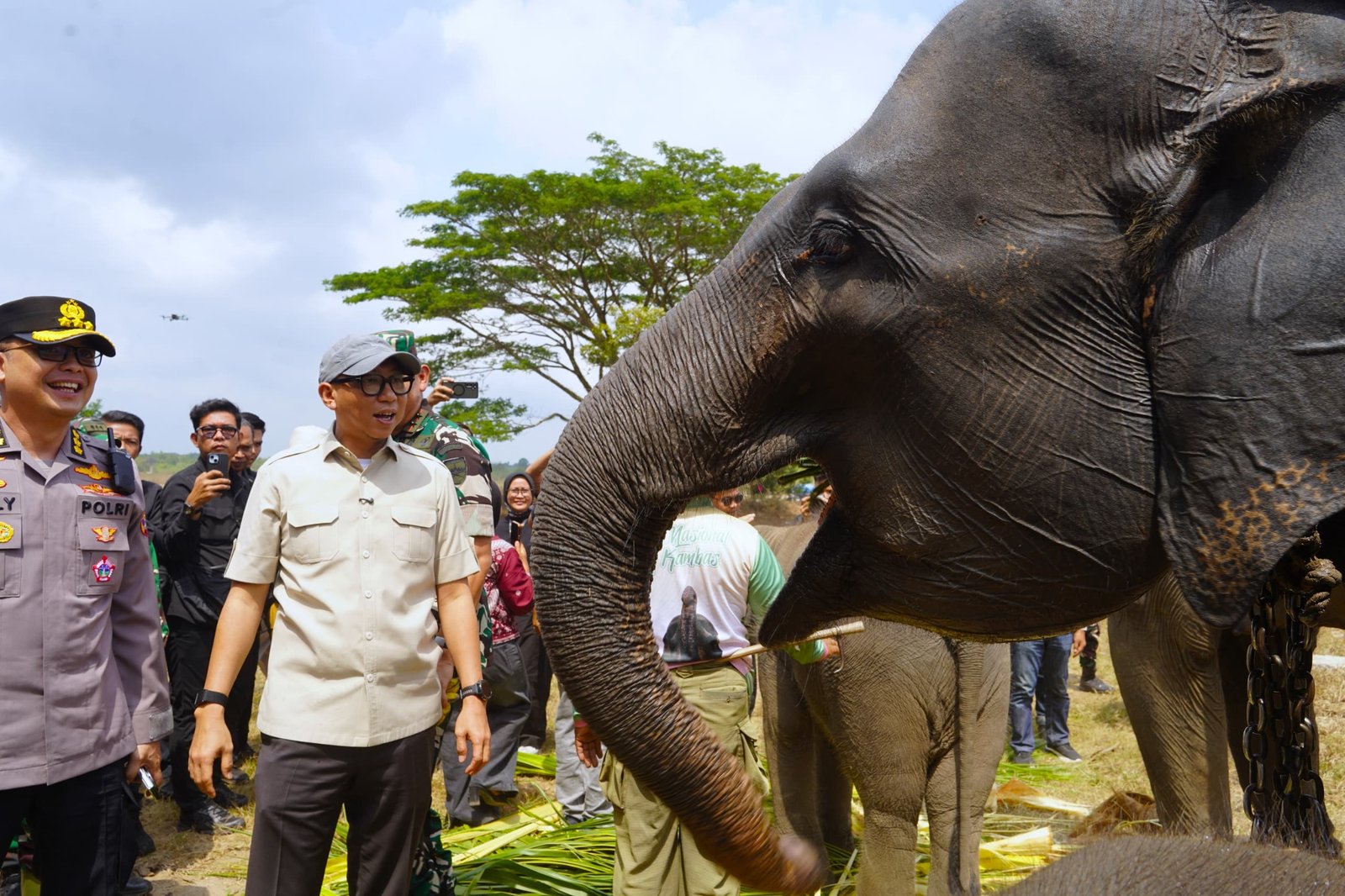 Pemprov Lampung Dan TNI-Polri Perkuat Mitigasi TNWK, Lindungi Gajah Dan Warga
