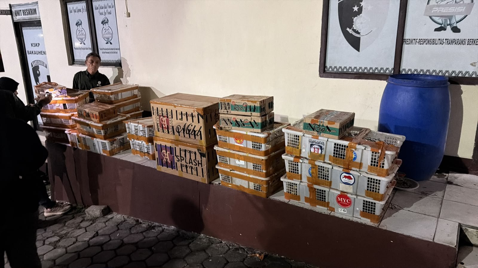 Bus Dari Palembang Bawa 991 Burung Liar, Terhenti Saat Diperiksa Di Bakauheni