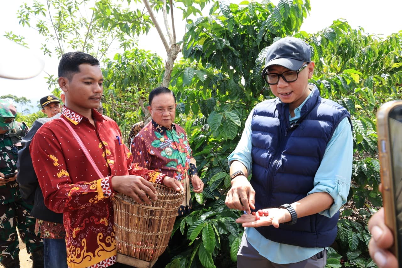 PHC Ubah Wajah Perkebunan Kopi Lampung, Gubernur Mirza Dorong Produktivitas Kopi Meningkat