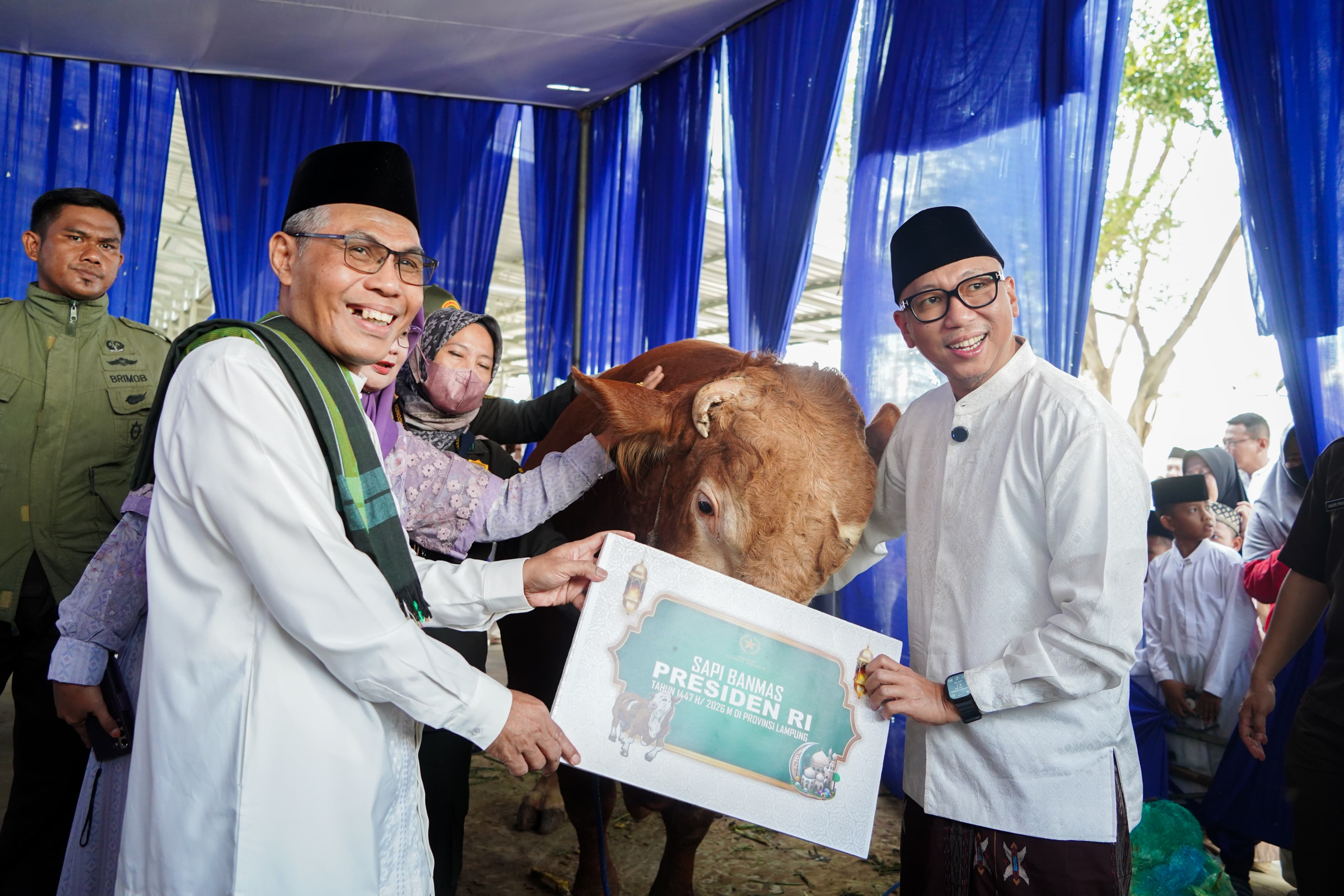 Momentum Iduladha, Pemprov Lampung Dorong Kepedulian Dan Kesejahteraan Masyarakat