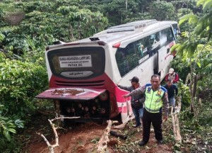 Kronologi Bus Masuk Jurang Di Lampung Barat, Polisi Sebut Pandangan Sopir Terhalang Kabut