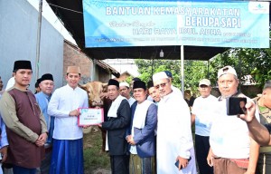 Dari Istana Untuk Rakyat, Bupati Egi Salurkan Bantuan Sapi Kurban Presiden
