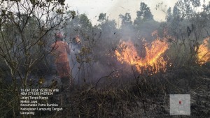 350 Hektar Lahan Hingga Satwa Di TN Way Kambas Terbakar