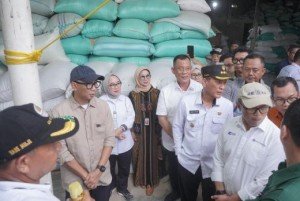 Dukung Program Desaku Maju, Bank Lampung Salurkan Kredit Alsintan Lebih Dari Rp1 Miliar Di Mesuji