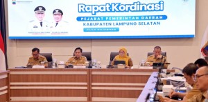 Pemkab Lampung Selatan Dorong Partisipasi Desa Melalui Program Helau