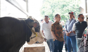 OJK Dorong Ekosistem Peternakan Siap Di Lampung