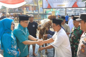 Tingkatkan Rasa Persaudaraan, Polda Lampung Salurkan 58 Hewan Kurban Di Iduladha 1446 H