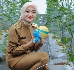 Teknologi IoT SMKN PP Natar Sukses, Wagub Jihan Panen Raya Melon
