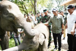 Presiden Prabowo Siapkan Rp 839 Miliar Untuk Way Kambas, Gubernur Lampung Sampaikan Apresiasi